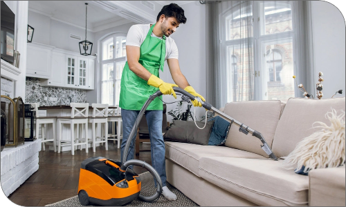 Image of Domestic Service